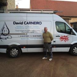 Carneiro Da Silva David