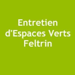 Entretien D'espaces Verts Feltrin