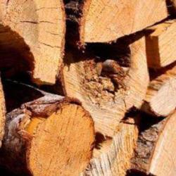 Entreprise De Valorisation Des Bois
