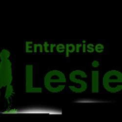 Entreprise Lesieur, élagueur 54