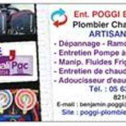 Entreprise Poggi Benjamin