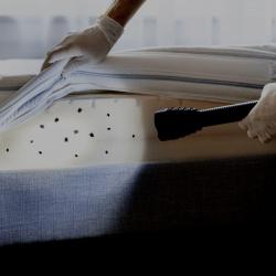 Entreprise Punaise De Lit - Stop Punaise