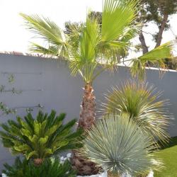 Entretien Parcs Et Jardins Antunano