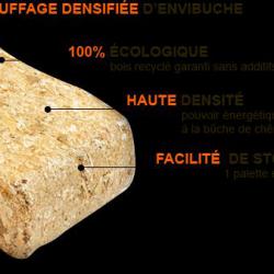 Envibûche