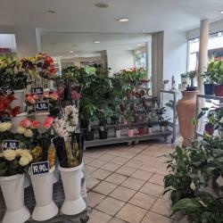 Envie De Fleurs