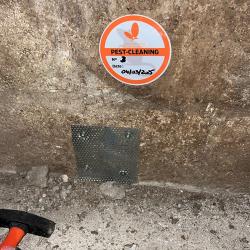 Environnement Services Nord