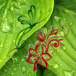 Envolée Florale