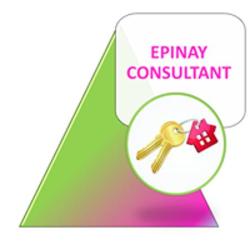 Epinay Consultant
