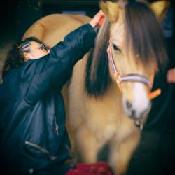 Equicoaching - Qilineduc - Coaching Pour Entreprises