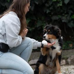 équilibre Canin 06