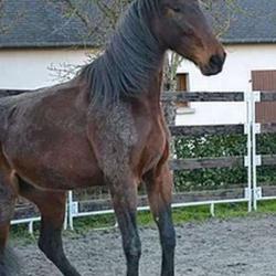 Equinature'l