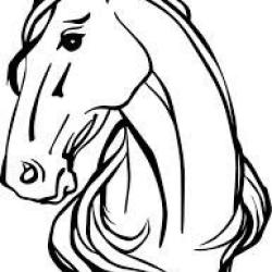 Equine Naturelle