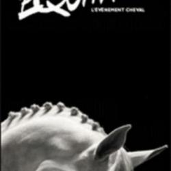 Equita Lyon