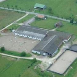 Equitation Passion