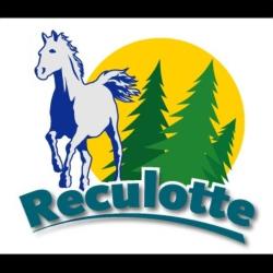 Equitation Reculotte