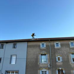 Erapure - éradication De Nuisibles - Epinal