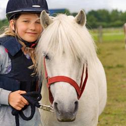 Erdeven Equitation