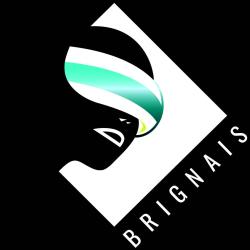 E.réel Brignais