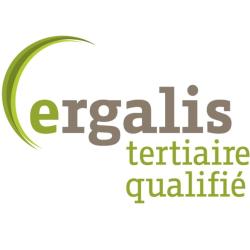 Ergalis Tertiaire Qualifié Agence Grandes Entreprises