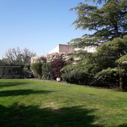 Eric - Jardinier  - Cmonjardinier