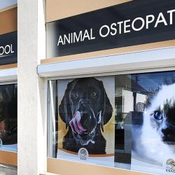 Esao école Supérieure Ostéopathie Animale