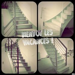 Escalites