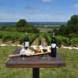 Escapades En Périgord