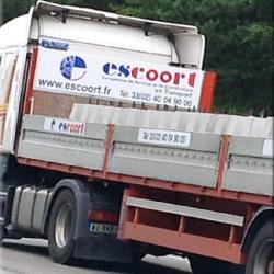Escoort