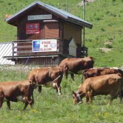 Esf Courchevel 1650