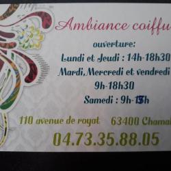 Ambiance Coiffure