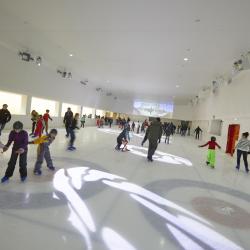 Espace Des Mondes Polaires : Musée - Patinoire/piste De Roller Quad