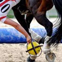 Espace Equestre De Dorson