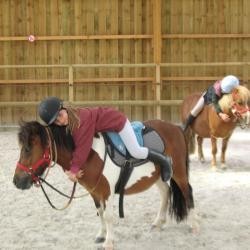 Espace Equestre Du Pays De Retz