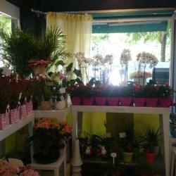 Espace Floral
