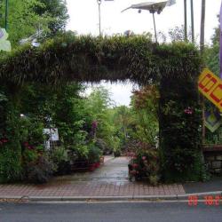 Le Jardinerie De Curiosités De Taffin