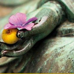Espace-leela (reiki, Méditation)