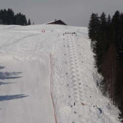 Espace Luge Côte 2000