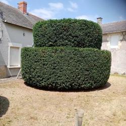 Espace Plus