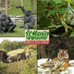Espace Zoologique De Saint Martin La Plaine