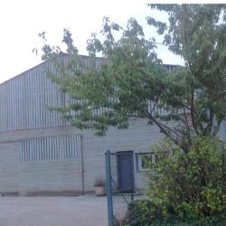 Les Jardins De Camphin