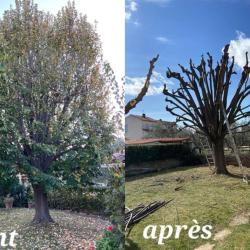 Espaces Verts Aj