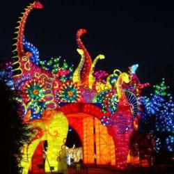 Espèces En Voie D'illumination