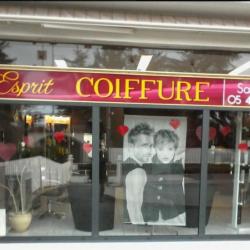 Esprit Coiffure
