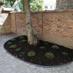 Esprit D'eden