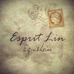 Esprit Lin