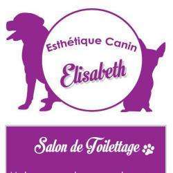 Esthétique Canin