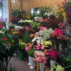 Etamines Fleurs