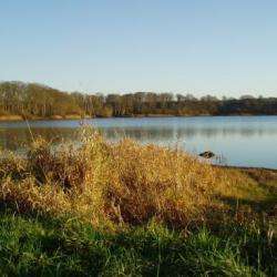 Etang De Bazouges Sous Hédé
