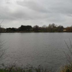 Etang De Beauché