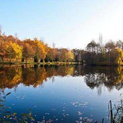 Etang De Cessy